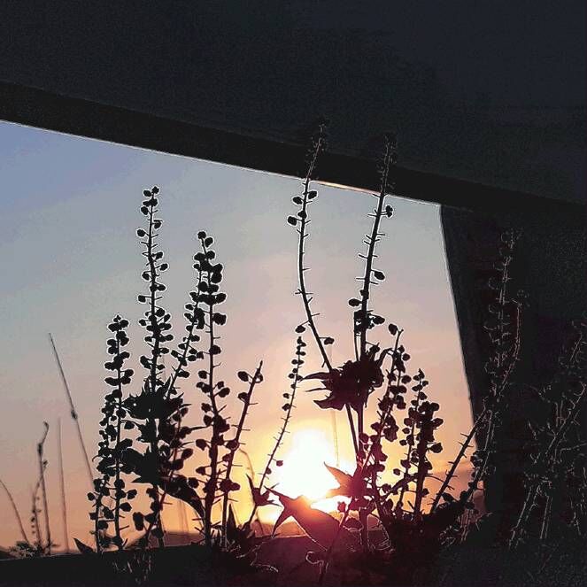“Life’s Evening Sun"